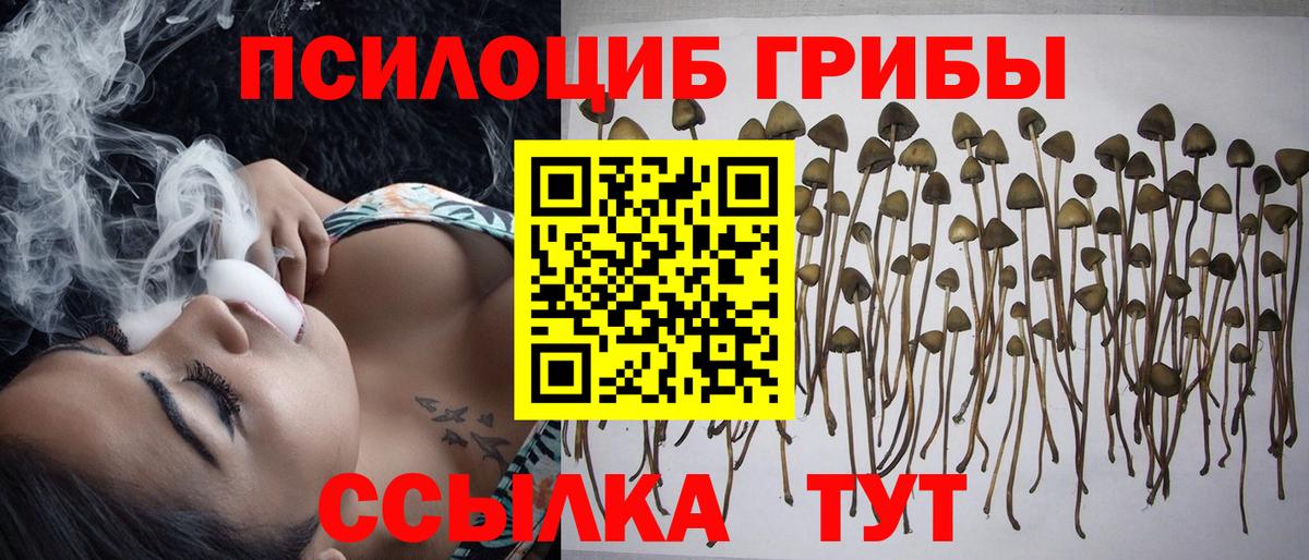 Псилоцибиновые грибы Magic Shrooms Калининград