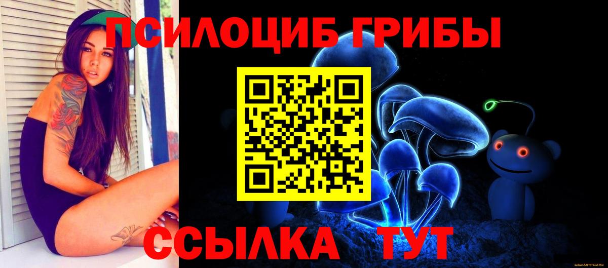 Псилоцибиновые грибы MAGIC MUSHROOMS  Псилоцибиновые грибы мицелий  Вход с VPN  Калининград 